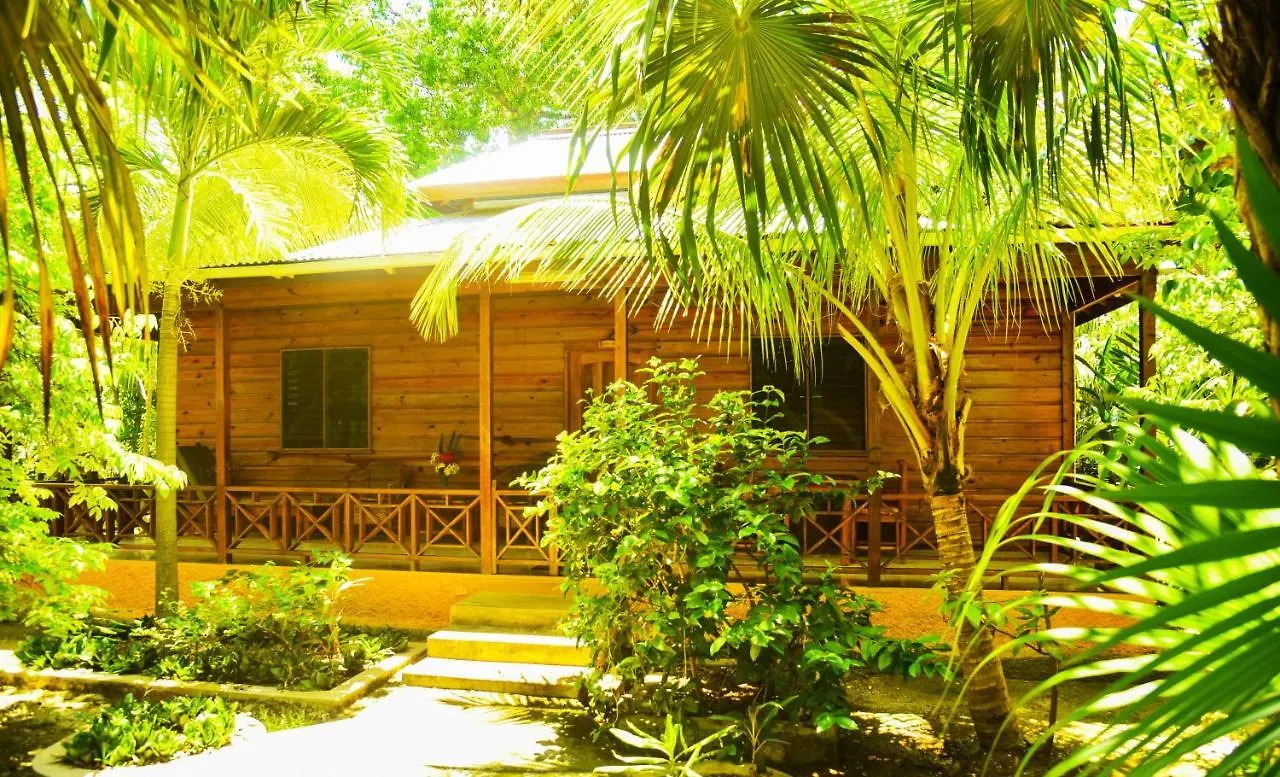 Lighthouse Inn 2 Negril